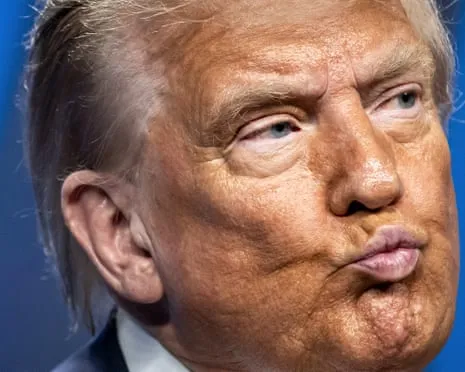 Trump vs Facts Overview: Few Network Would Attempt TV So Daring (while also) Repetitive