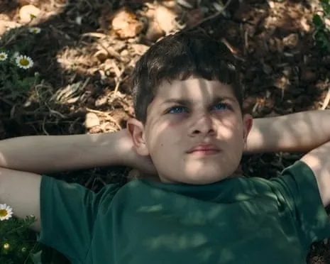 Israeli Culture Minister Vows to Withdraw National Film Awards After Palestinian-Themed Movie Wins Best Feature