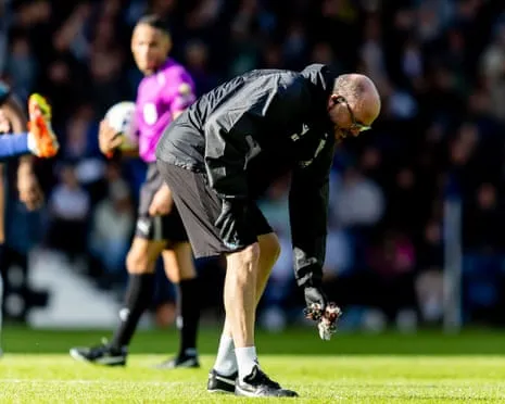 I have Observed Awful Things at Football Games – Yet The Thing That Landed on the Pitch Last Week Was Truly Appalling
