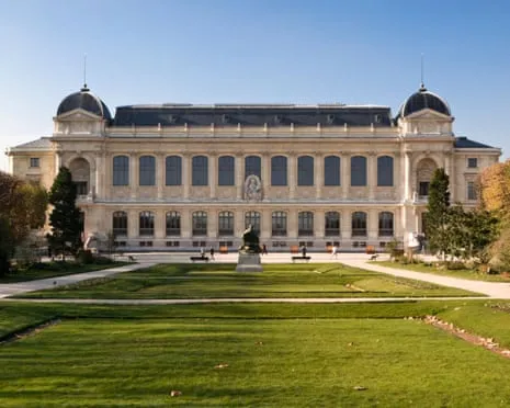 Priceless Golden Samples Stolen in Daring Raid at France's Natural History Institution